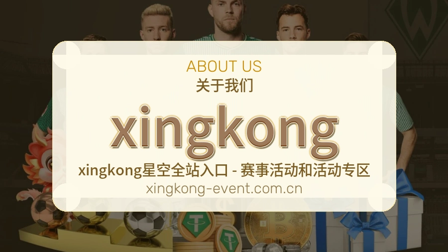 xingkong关于我们页面图片